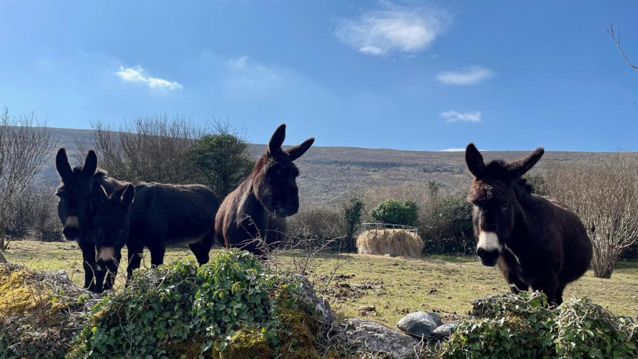 Cappabhaile House Ballyvaughan Esterno foto
