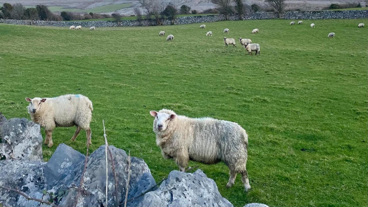 Cappabhaile House Ballyvaughan Esterno foto